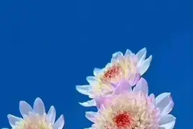 这个关于补发拖欠教师近30年工资的回复让人感慨万千，你那里呢？图片