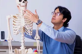 人体共有206块骨头，中国人却普遍只有204块，另外两块去了哪里？图片