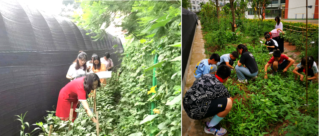 四川省民生研究会新媒体中心-官网