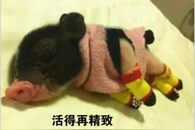 如何辨别自己是否有巨婴型人格？揭秘现代人的共性特征。图片