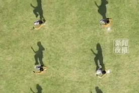 军训名场面：女生倒立旋转一字马看呆同学……网友：没点才艺都不敢军训了图片