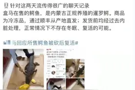 买回家的鳄鱼被砍后复活？盒马矢口否认，开膛破肚还能复活？图片