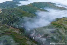 拉路梁万亩中药材梯田迎来罕见的云海奇观图片