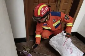 高峰期来临，胆小慎入图片