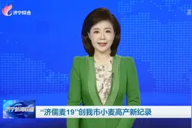 “济儒麦19”创济宁市小麦高产新纪录图片