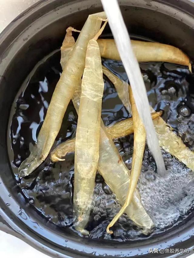 黄门鳝肚花胶怎么做 2026年黄门鳝胶与花胶的区别