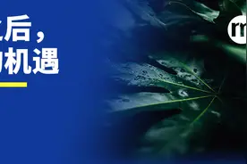 “天雨虽大，但不润无根之草。”图片