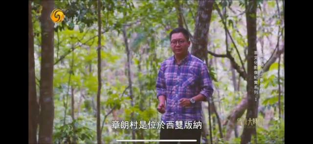 凤凰卫视播出！云南少数民族茶香飘向世界