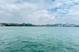 今日头条极速版邀请码，希望能帮助到大家图片