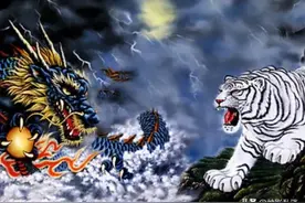 同为“四象”，为何小说中临凡转世后的青龙总是败给白虎？图片