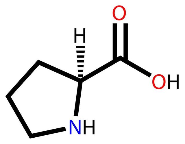 合成胶原蛋白的重要材料——氨基酸