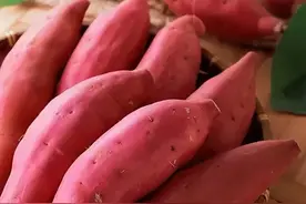 尿结石多吃红薯，最快7天可排石，怎么吃是重点图片