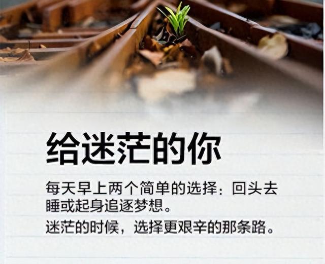如果网贷逾期车贷怎么办，如果网贷逾期车贷怎么办理 配图01