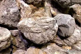 青山、流水：深度解读造景大师制作水景过程图片