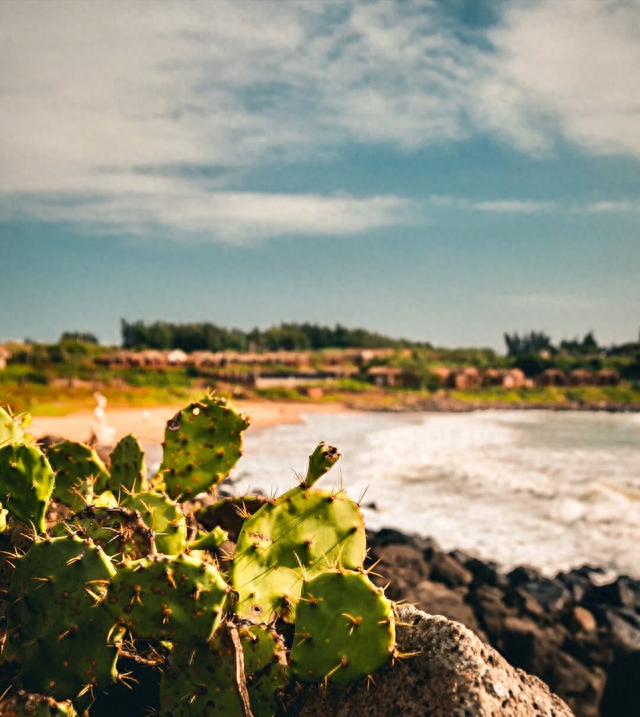 火山岛旅游攻略(怎么去火山岛)