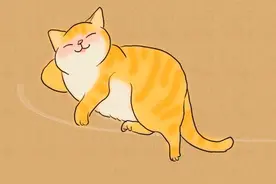 2022经典睿智的猫言猫语人生哲理大全图片