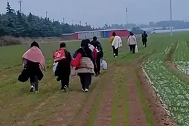 郑州富士康员工大逃亡：他们到底经历了什么？我们应该反思什么？图片