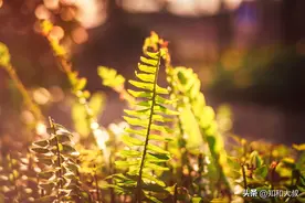 一个女人经常穿别人的旧衣服，往往会拥有这几种命运图片