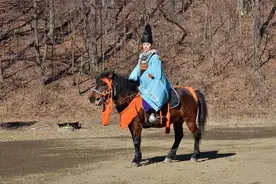 说说日本的马种图片