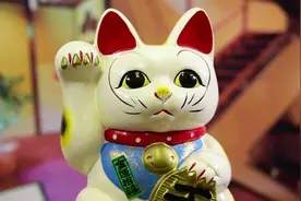 猫咪也有招财属性？盘点五大招财喵属性，快看你家主子有没有图片