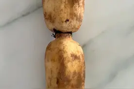 中小学教师资格考试“文化素养”模块简易常识图片