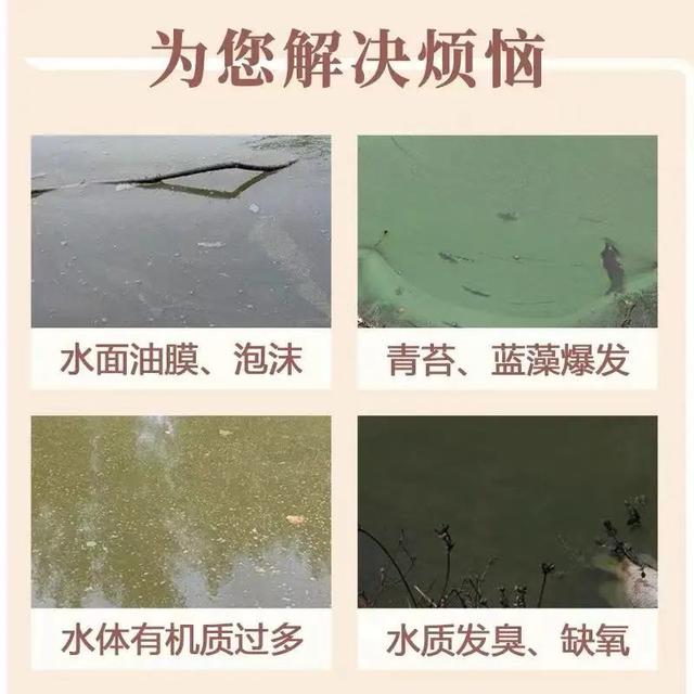 解毒活水神器：激活解毒灵，中性解毒，温和不伤水，无任何刺激
