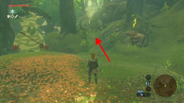 塞尔达传说之旷野之息全神庙位置（六）——森林之塔