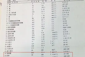 通过血液检查了解肾功能，这7个指标不同程度代表肾功能受损图片