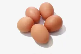 正常睾丸大小是多少？图片