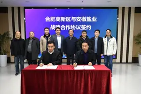 合肥高新区与安徽盐业签署战略合作协议图片