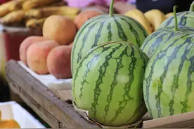 最抗饿的食物有5种，你猜到几个图片