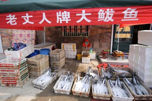 马鲛鱼产地 马鲛鱼产地是哪个国家的