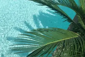 和你“同频”的男人，多半能够和你相守一生图片