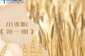 国标小麦粉 GB/T 1355-2021有哪些变化？图片