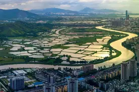 张鸿义：研究深圳河治理和深港合作历史图片