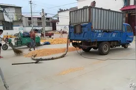 10月起，农村两项社保全面开始缴费，每户要交多少钱？早准备图片