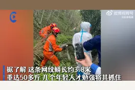 深圳再现巨蟒，50斤大蟒蛇藏身于工业园区，是之前逃脱的蟒蛇吗？图片