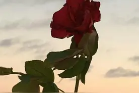 人老了，你越“小气”，日子越好图片