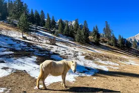 西藏昌都伊日峡谷，养在深闺的世外桃源，村民过着与世无争的生活图片
