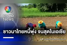 泰国大米出口排名靠前 但农民在全亚洲最贫困图片