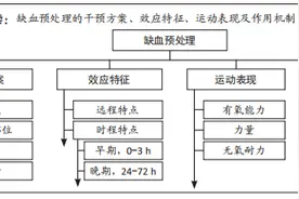 缺血预处理提升运动表现——方法、应用及机制图片