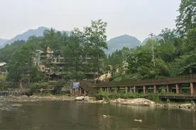 拼多多被起诉！“砍一刀”的套路，到底有多深？图片