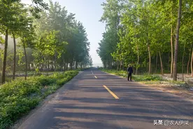 农村道路改造有啥政策？改造有补贴！这里有最详细的答案图片