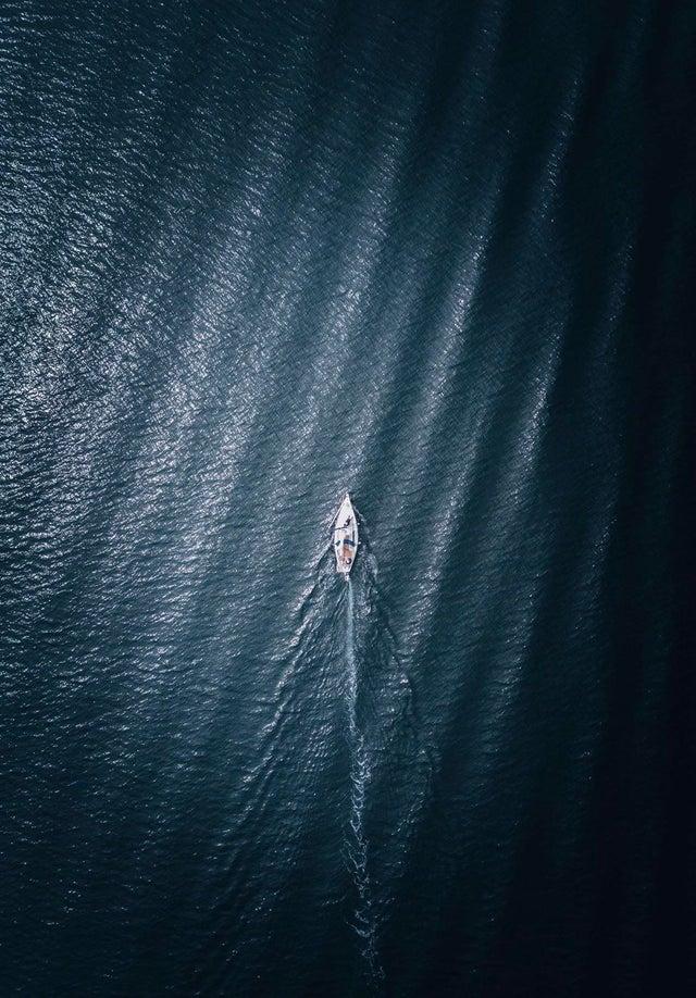 42张吓人的深海照片,真的存在深海巨蟒?