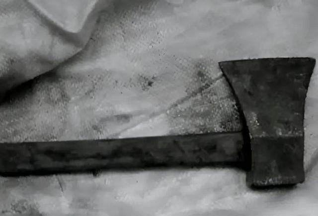 因不给弟弟买房子，女博士被父亲砍死，父亲大骂：白眼狼该杀