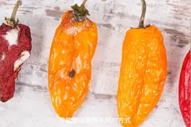 误食发霉食物会怎么样#有趣的知识又增长了图片