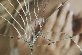 破镜难重圆，和好难如初，不是我斤斤计较，只因吞下委屈的不是你图片