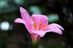 不管关系多好，也别请人吃饭、送礼，原因很现实图片