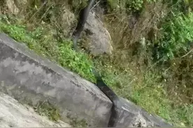 广东过山峰图片