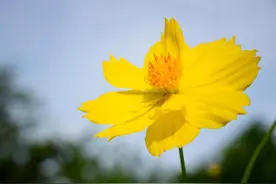 做人要心存善念，做到四点，命越来越好，福越攒越多图片